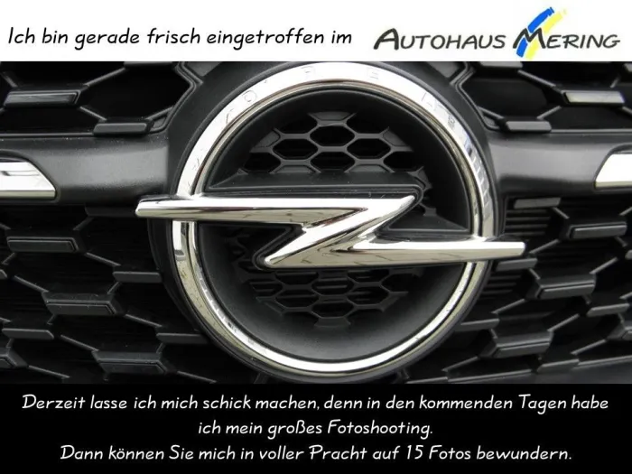 Opel Movano 3,5 Tonnen  L3H2 BlueHDI 180 verstärkt