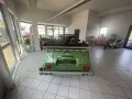 Volkswagen VW 181 Kübelwagen TÜV Neu 
