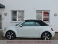 Volkswagen Beetle 1.2TSI Allstar Plus Xenon LED Kamera AppC