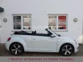 Volkswagen Beetle 1.2TSI Allstar Plus Xenon LED Kamera AppC