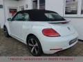 Volkswagen Beetle 1.2TSI Allstar Plus Xenon LED Kamera AppC
