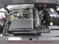 Volkswagen Beetle 1.2TSI Allstar Plus Xenon LED Kamera AppC