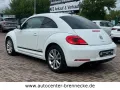 Volkswagen Beetle Club BMT*Allwetter*PDC*Soundsystem*