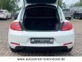 Volkswagen Beetle Club BMT*Allwetter*PDC*Soundsystem*