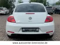 Volkswagen Beetle Club BMT*Allwetter*PDC*Soundsystem*