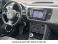 Volkswagen Beetle Club BMT*Allwetter*PDC*Soundsystem*