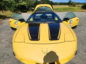 Other Pontiac Firebird V6 3,4l Einsteiger US Oldtimer