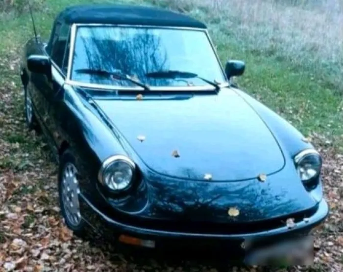 Alfa Romeo Spider Cabrio schwarz mit Hardt...
