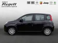 Fiat Panda 1.0 Mild-Hybrid EU6d *PDC*Klima*Bluetooth*