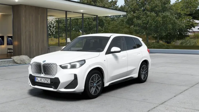 BMW iX1 xDrive30 M-Sport AHK Head-Up DrivAssProf. Pa