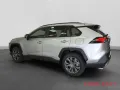 Toyota RAV 4 2.5 Hybrid 4x2 Team D Technik Paket