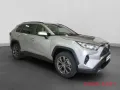 Toyota RAV 4 2.5 Hybrid 4x2 Team D Technik Paket