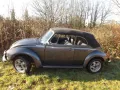 Volkswagen Käfer- todschick und perfekt!