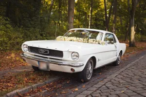 Ford Mustang 1966 6 Zyl. Handschalter 200 cui