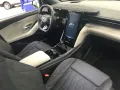 Ford Capri Premium RWD+PanoDach+iACC+Matrix-LED+B&O+