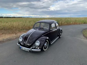 Volkswagen Käfer 1200 Dickholmer (1961) - Frame-Off