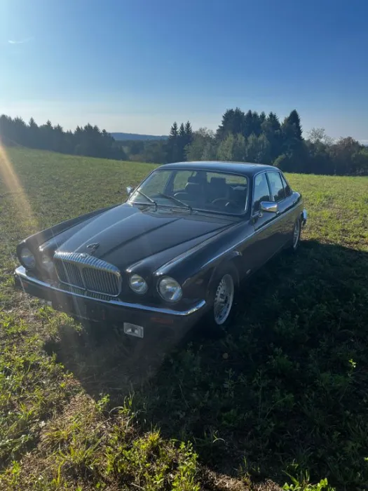 Jaguar XJ12