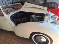 Triumph Roadster 1800 Cabrio