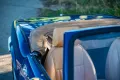 Triumph Spitfire