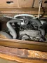 Volkswagen 1978er VW T2b deluxe Arizona US-Import Patina