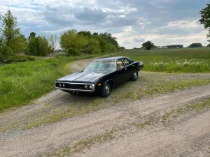 Other Dodge Coronet Custom H-Zulassung  evtl Tausch