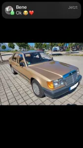 Mercedes-Benz Mercedes W124/260E