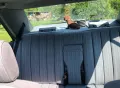 Mercedes-Benz W124 H 260E Automatik