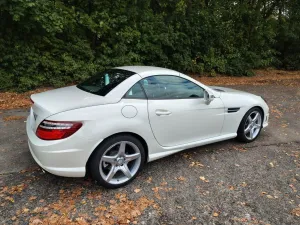 Mercedes-Benz SLK 250 BlueEFFICIENCY Autom. -