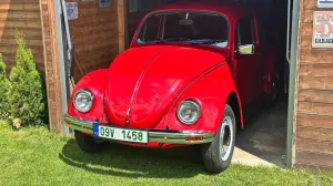 Volkswagen Käfer