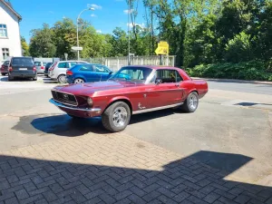 Ford Mustang 289HP  Oltimer