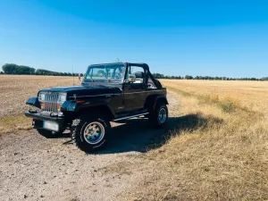 Jeep Wrangler YJ 94 Cabrio, high Performan...