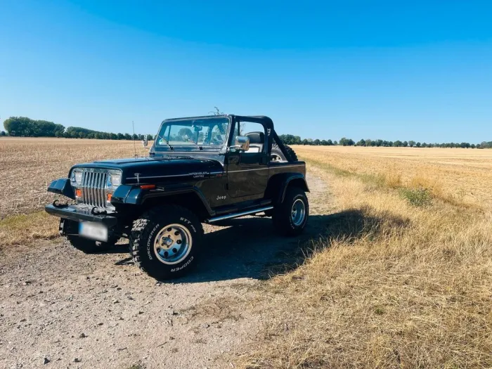 Jeep Wrangler YJ 94 Cabrio, high Performan...