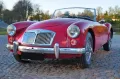 MGA