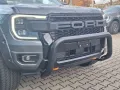 Ford Platinum 3,0d UMBAU Tech73 AHK Rollo Standhzg