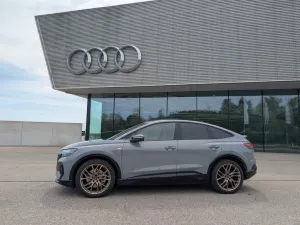 Audi Q4 45 e-tron - S-line Matrix  AHK Dämpferregel. 