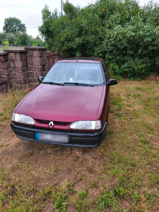 Renault R19