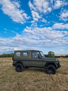 Mercedes-Benz Puch Mercedes GE 230, Motor neu, Lack neu