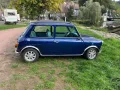 MINI 1300