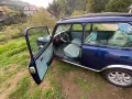 MINI 1300