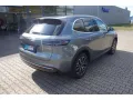 Geely Starray EM-i MAX+ PHEV HUD Panorama Navi Leder D
