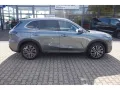 Geely Starray EM-i MAX+ PHEV HUD Panorama Navi Leder D