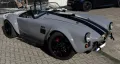 Cobra Andere