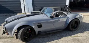Cobra Andere