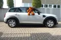 MINI Cooper Countryman nur 17TKM!