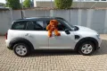 MINI Cooper Countryman nur 17TKM!