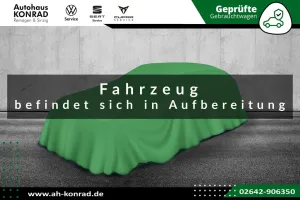 Cupra Raval Endurance Edge-Paket Dinamica-Paket