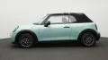 MINI Classic Trim