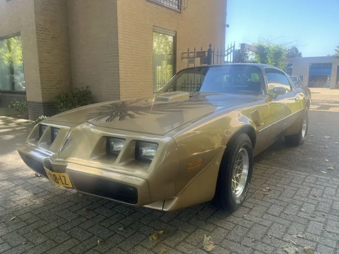 Pontiac Trans Am FIREBIRD Trans Am 6.6 Top Staat