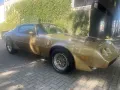 Pontiac Trans Am FIREBIRD Trans Am 6.6 Top Staat
