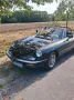Alfa Romeo Alfa Spider